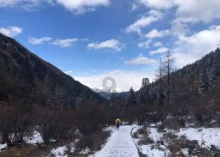 你遇到过收了彩礼变卦的事吗？还能结婚吗？游戏画面
